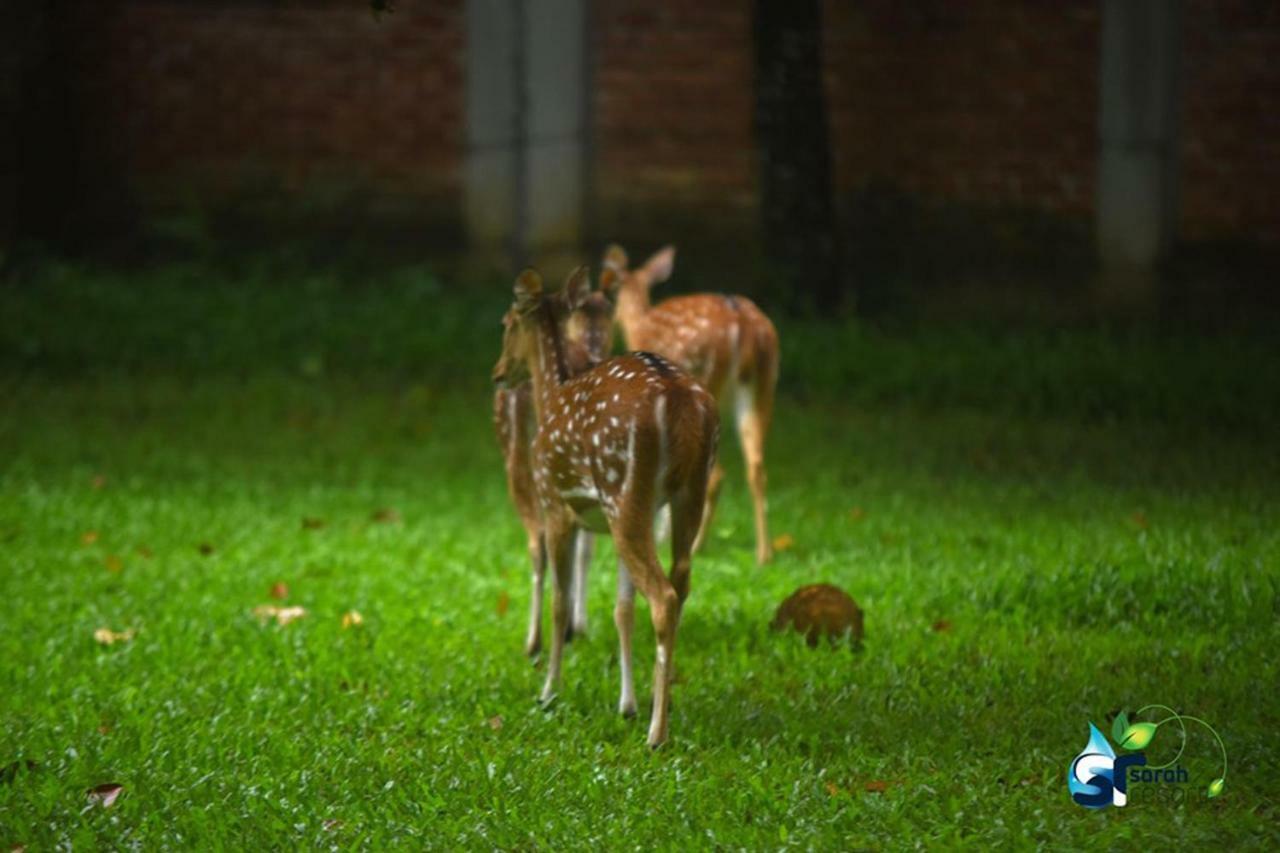 Sarah Resort Gazipur Exterior foto